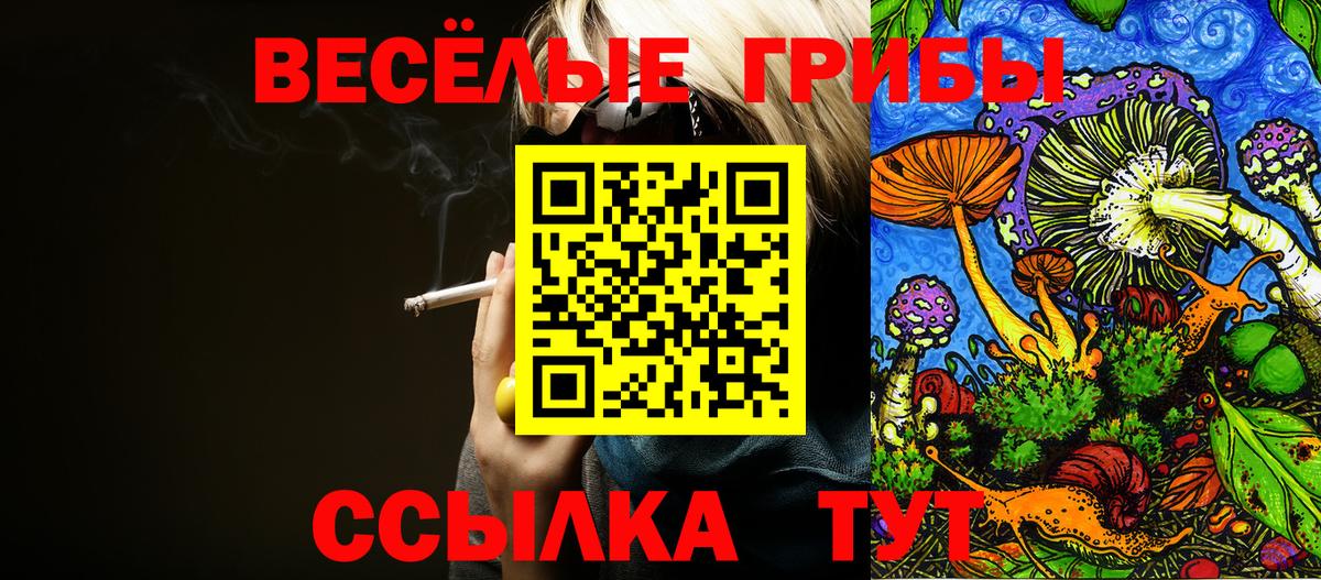 Псилоцибиновые грибы прущие грибы Санкт-Петербург