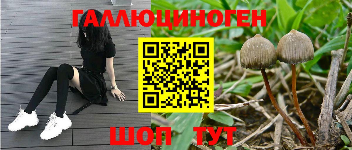 Санкт-Петербург  Псилоцибиновые грибы мухоморы  Вход с VPN 